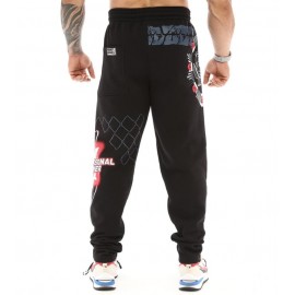 Штаны спортивные теплые Big Sam 1045
