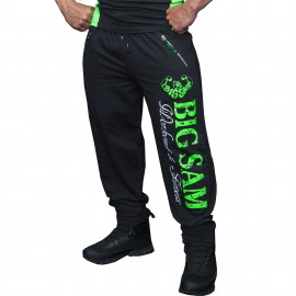 Штаны спортивные Big Sam 1092