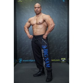 Штаны спортивные Big Sam 1093