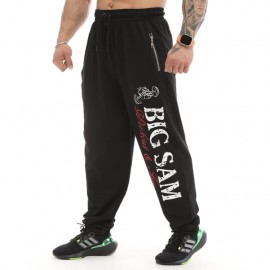 Штаны спортивные Big Sam 1094