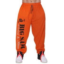 Штаны спортивные плотные Big Sam 1171
