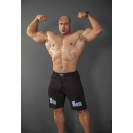 Шорты Big Sam 1383