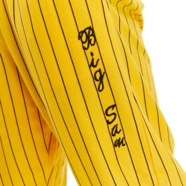 Штаны спортивные легкие Big Sam 1408 желтые