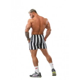 Шорты Big Sam 1513 серые