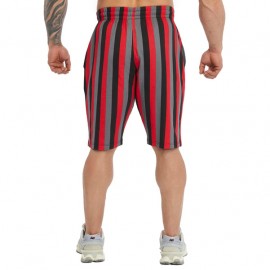 Шорты Big Sam 1516 красные