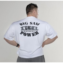 Футболка Big Sam 2720