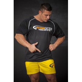 Футболка Big Sam 2848