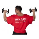Топ Big Sam 3106