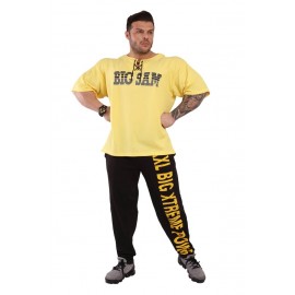 Футболка Big Sam 3174