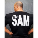 Штаны спортивные Big Sam 845