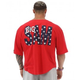 Топ-футболка Big Sam 3195