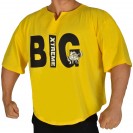 Топ футболка Big Sam 3217
