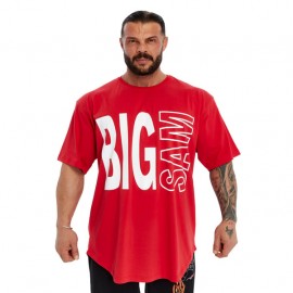 Футболка Big Sam 3382 R