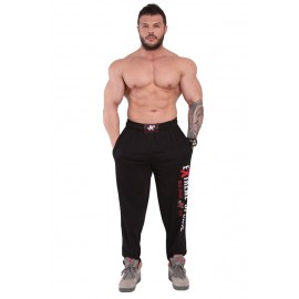 Штаны спортивные легкие Big Sam 828